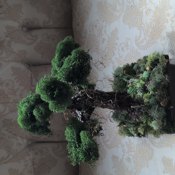 Hand Made Bonsai Tree - Picture 5 of 6